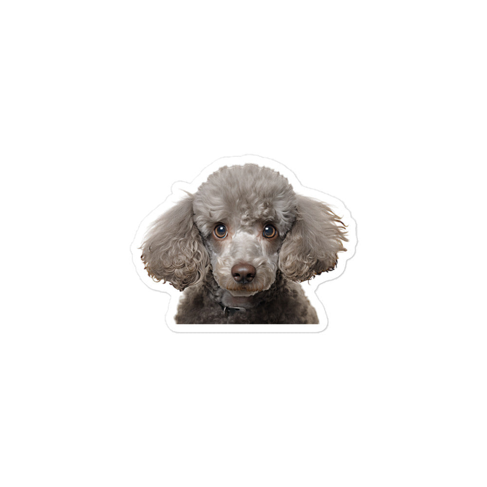 Poodle Sticker - Stickerfy.ai