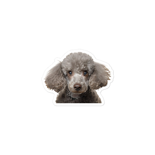 Poodle Sticker - Stickerfy.ai
