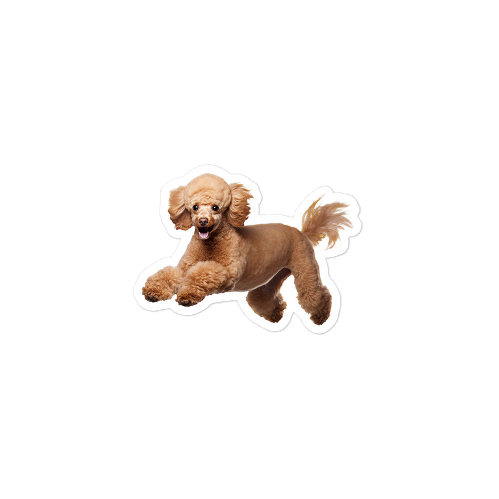 Poodle Sticker - Stickerfy.ai