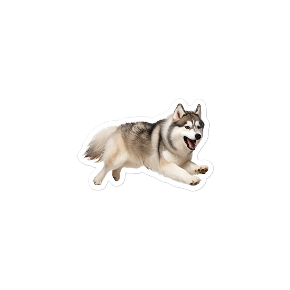 Alaskan Malamute Sticker - Stickerfy.ai