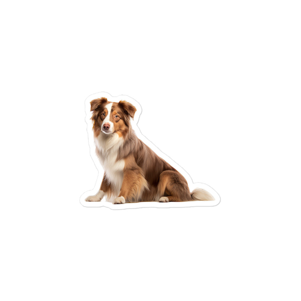 Australian Shepherd Sticker - Stickerfy.ai