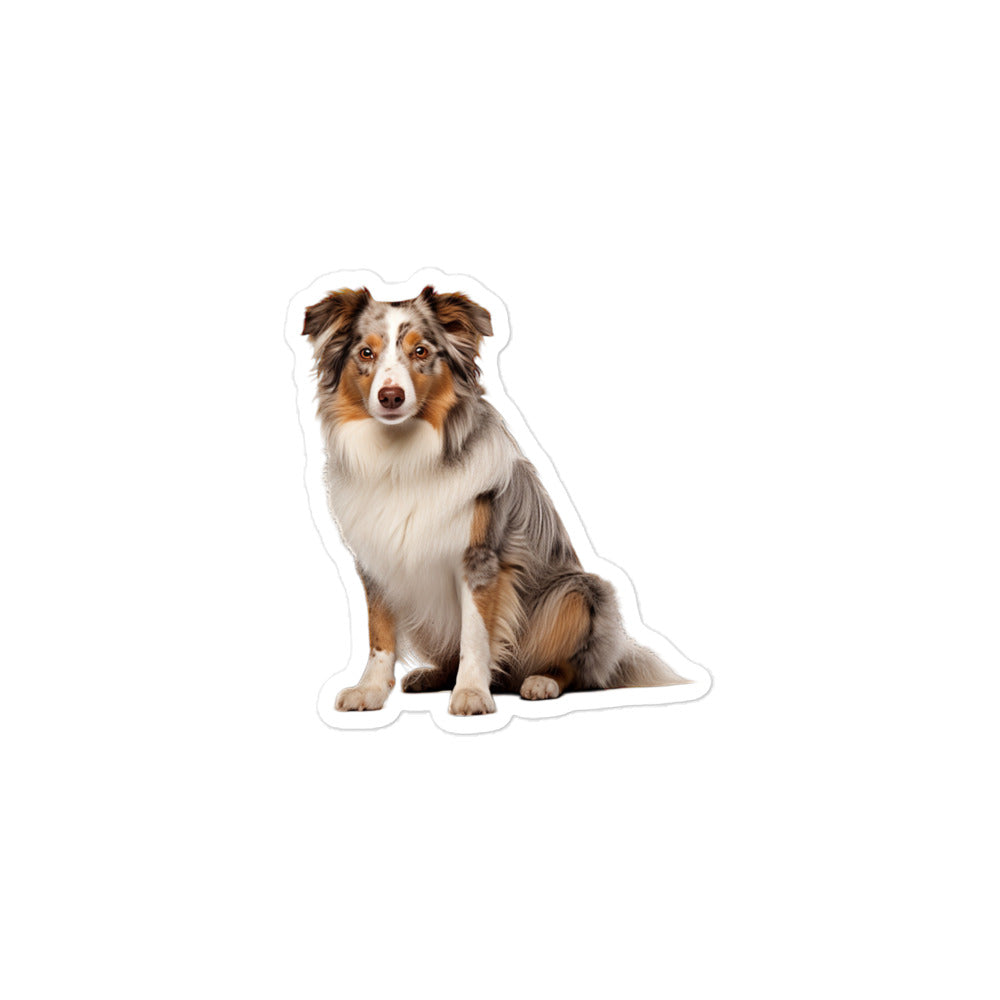 Australian Shepherd Sticker - Stickerfy.ai