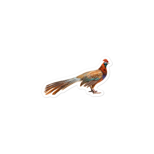 Ring Necked Pheasant Sticker - Stickerfy.ai