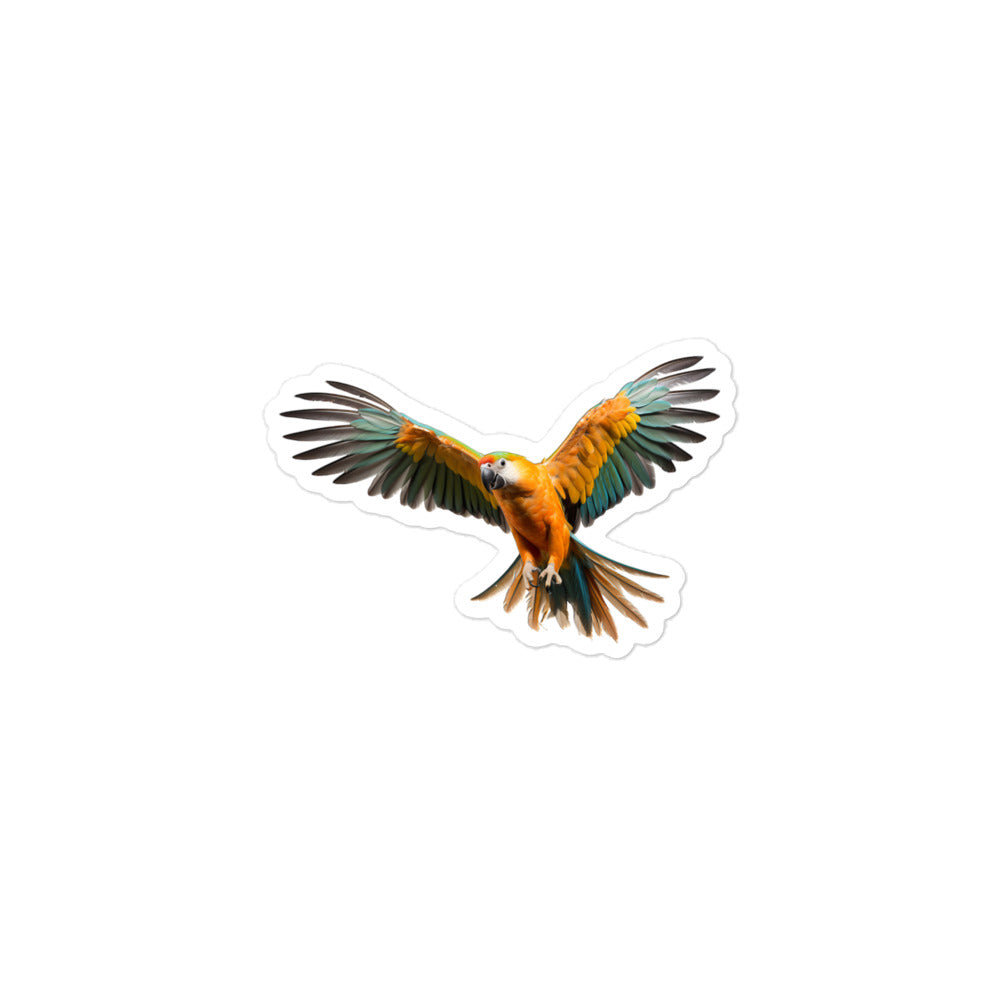 Caique Sticker - Stickerfy.ai