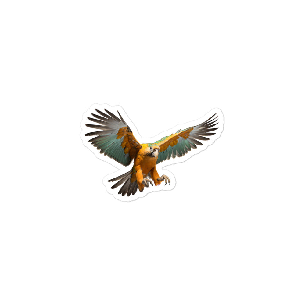 Caique Sticker - Stickerfy.ai