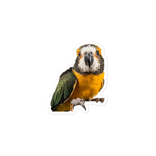 Caique Sticker - Stickerfy.ai