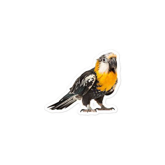 Caique Sticker - Stickerfy.ai