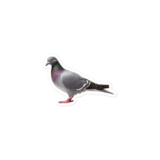 Homing Pigeon Sticker - Stickerfy.ai