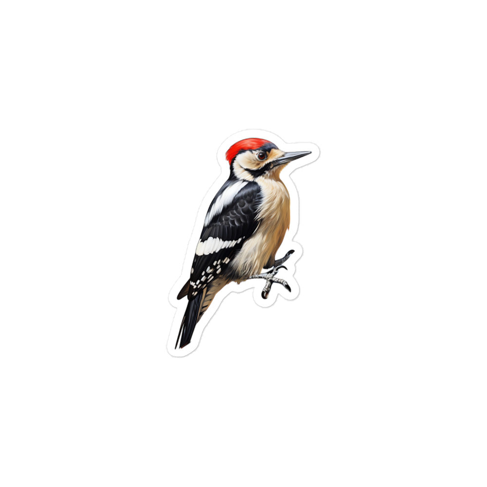 Woodpecker Sticker - Stickerfy.ai