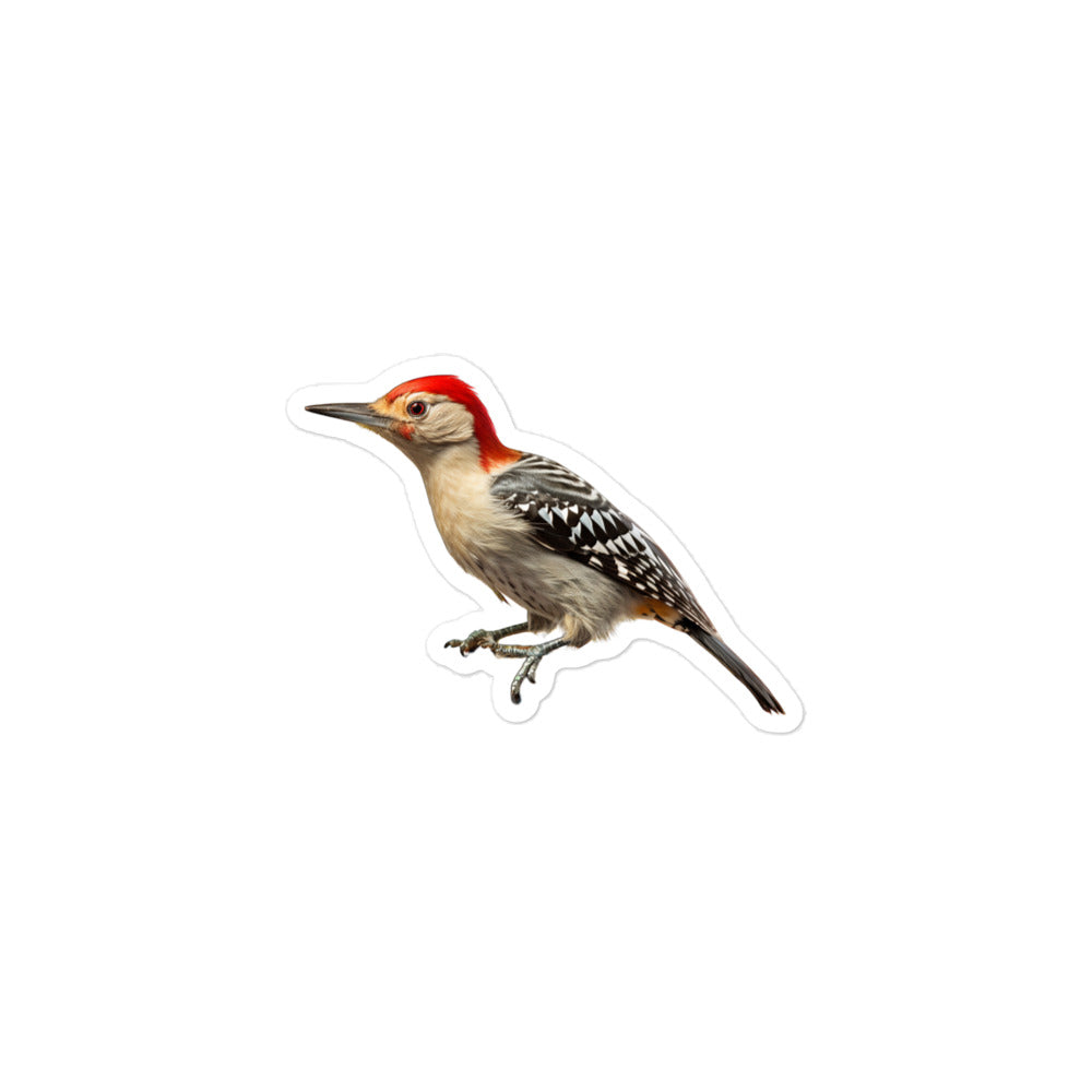 Woodpecker Sticker - Stickerfy.ai