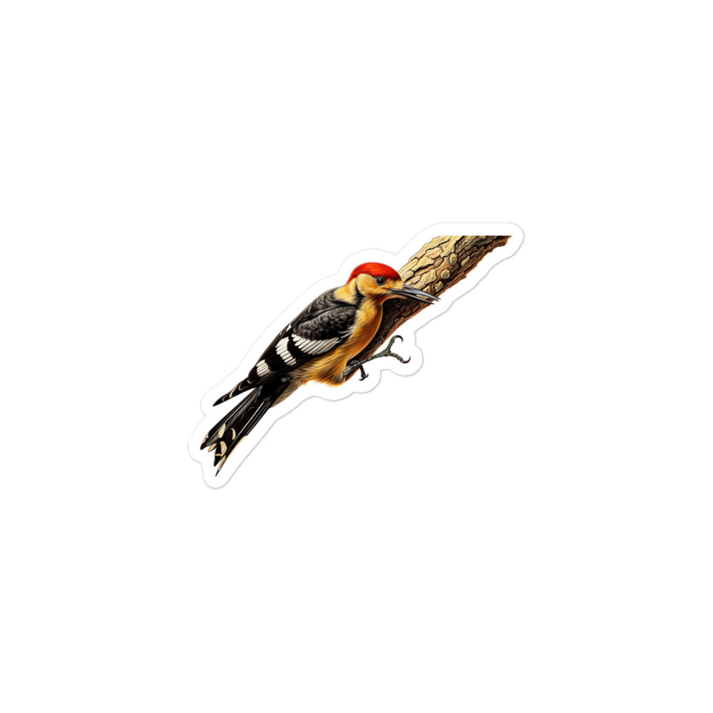 Woodpecker Sticker - Stickerfy.ai