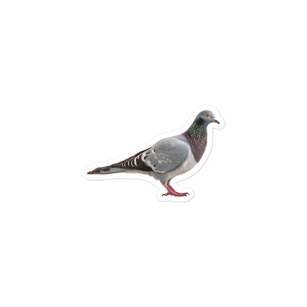 Pigeon Sticker - Stickerfy.ai