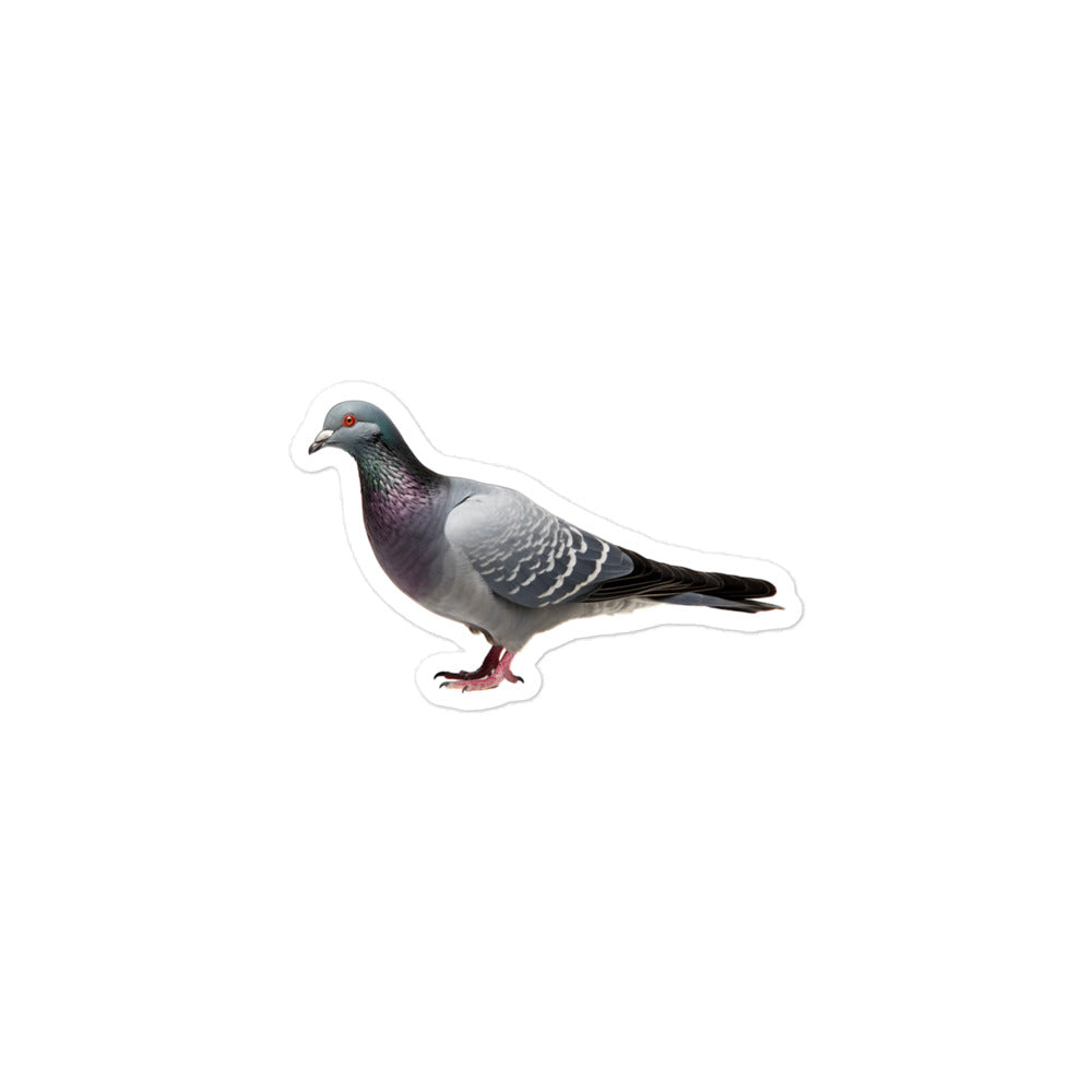 Pigeon Sticker - Stickerfy.ai