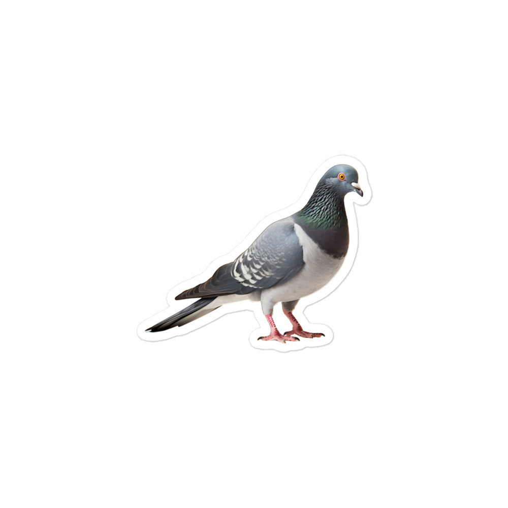 Pigeon Sticker - Stickerfy.ai