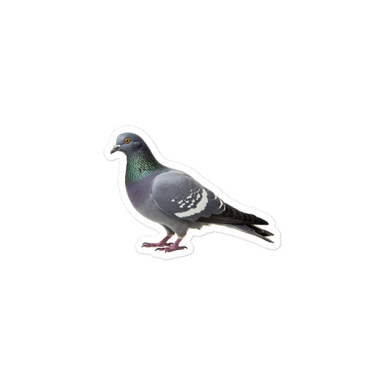 Pigeon Sticker - Stickerfy.ai