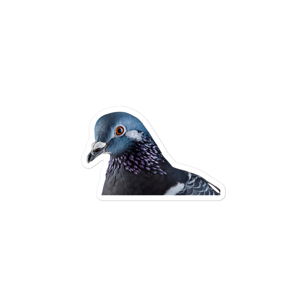 Pigeon Sticker - Stickerfy.ai