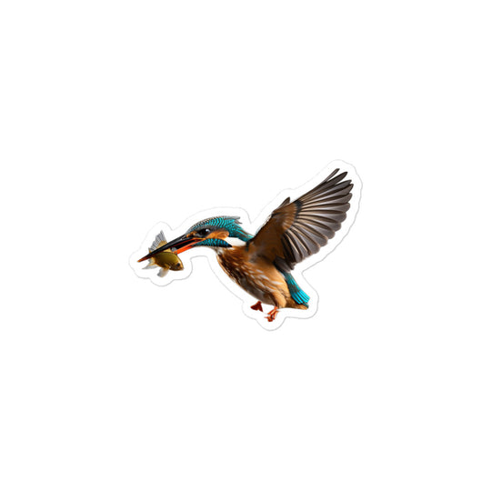 Kingfisher Sticker - Stickerfy.ai