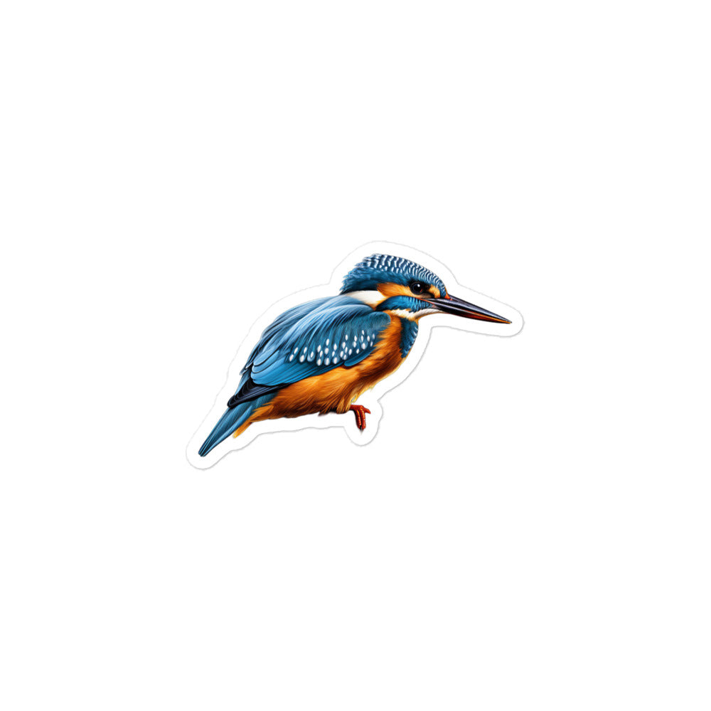 Kingfisher Sticker - Stickerfy.ai