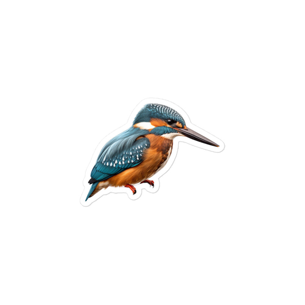 Kingfisher Sticker - Stickerfy.ai