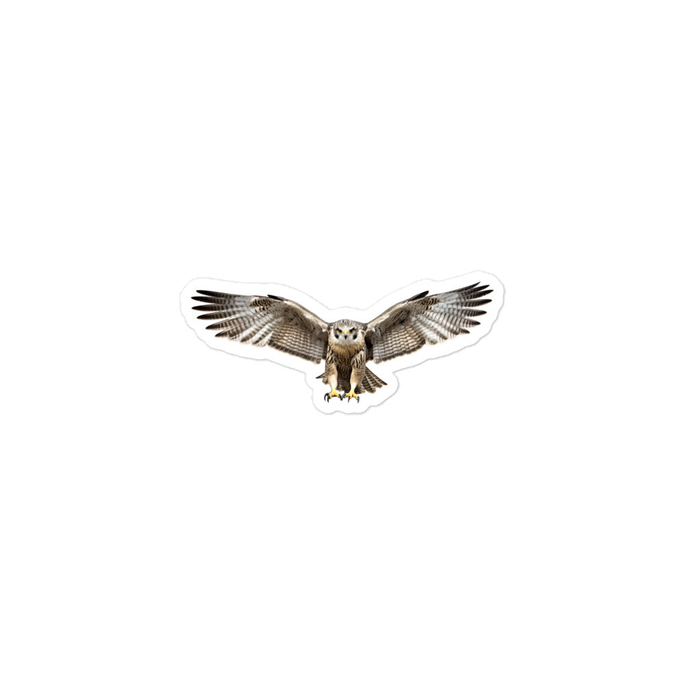 Falcon Sticker - Stickerfy.ai