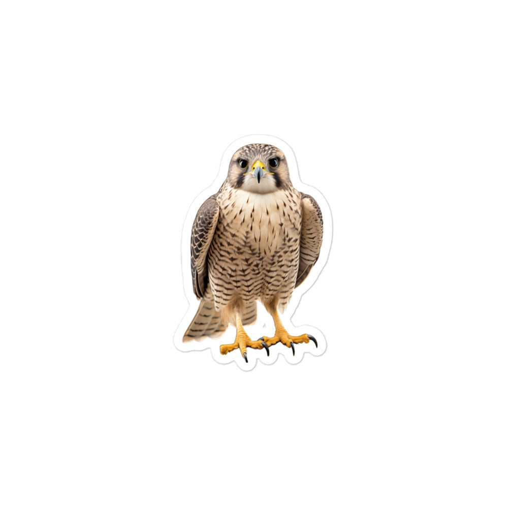 Falcon Sticker - Stickerfy.ai