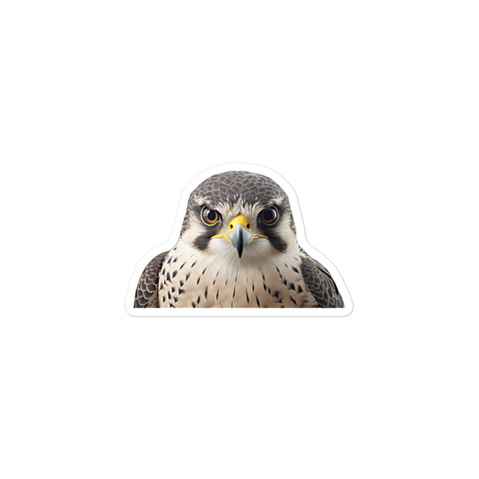 Falcon Sticker - Stickerfy.ai