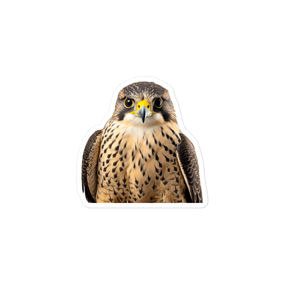 Falcon Sticker - Stickerfy.ai