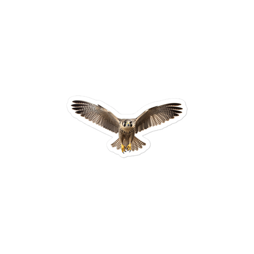 Falcon Sticker - Stickerfy.ai