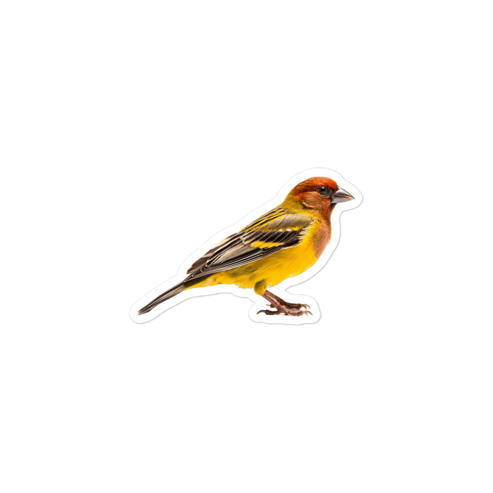 Finch Sticker - Stickerfy.ai