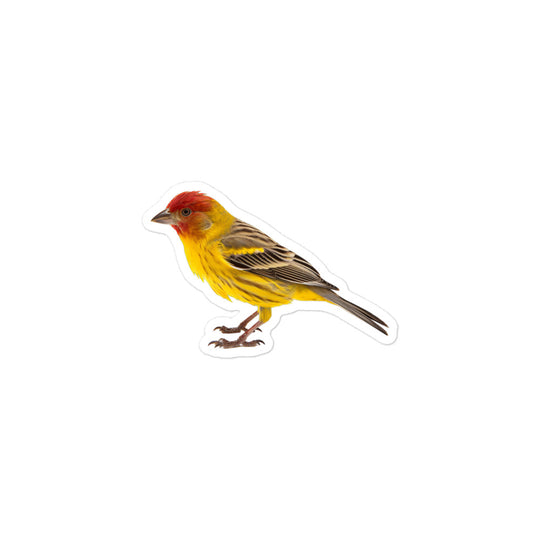 Finch Sticker - Stickerfy.ai