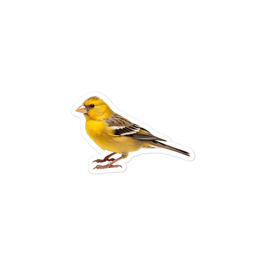 Finch Sticker - Stickerfy.ai