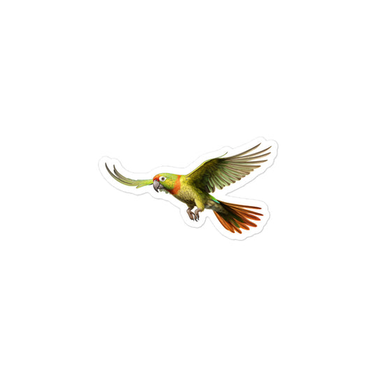 Green Cheeked Conure Sticker - Stickerfy.ai