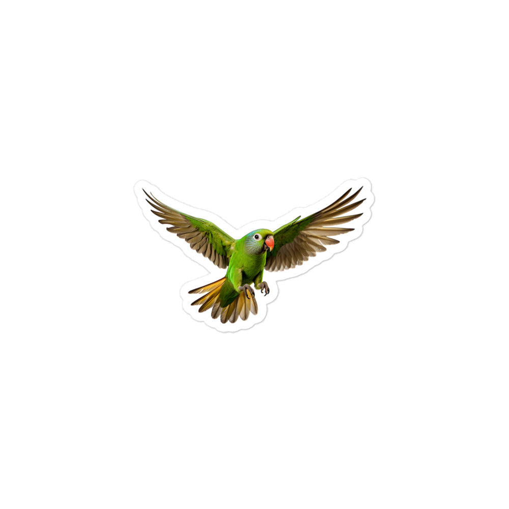 Green Cheeked Conure Sticker - Stickerfy.ai