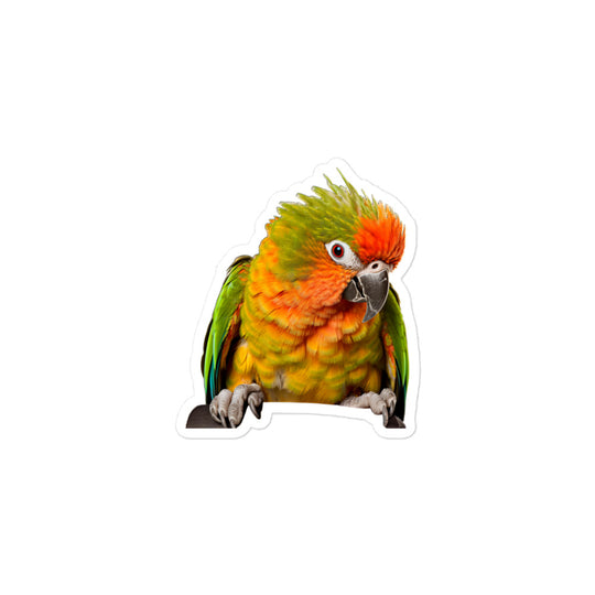 Green Cheeked Conure Sticker - Stickerfy.ai