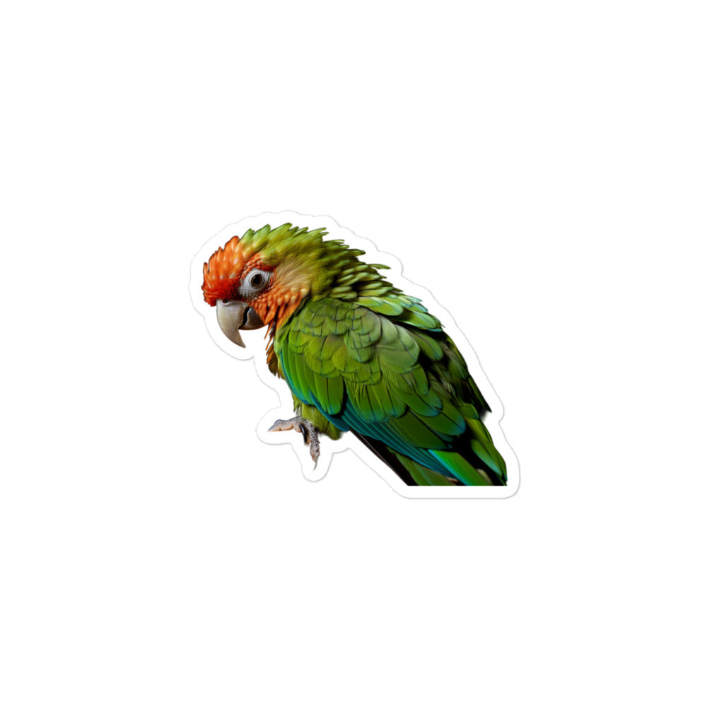 Green Cheeked Conure Sticker - Stickerfy.ai