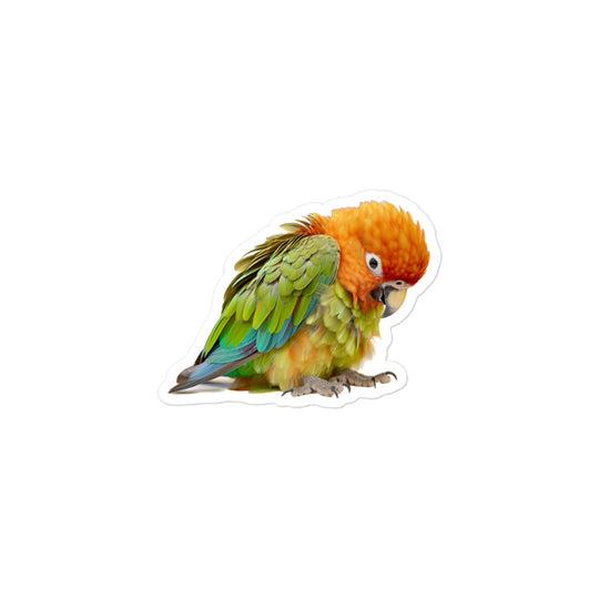 Green Cheeked Conure Sticker - Stickerfy.ai