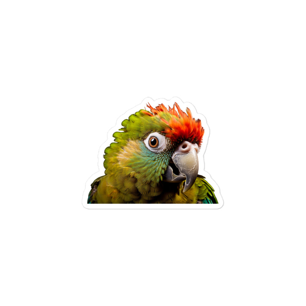 Green Cheeked Conure Sticker - Stickerfy.ai