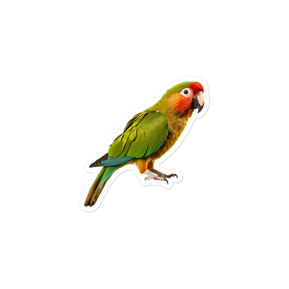 Green Cheeked Conure Sticker - Stickerfy.ai