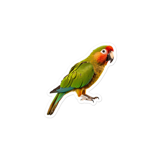 Green Cheeked Conure Sticker - Stickerfy.ai