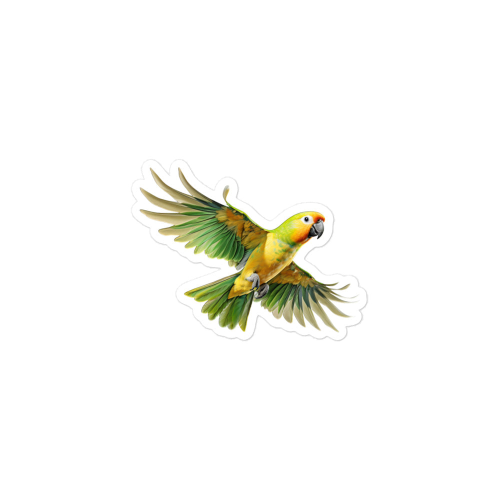 Conure Sticker - Stickerfy.ai