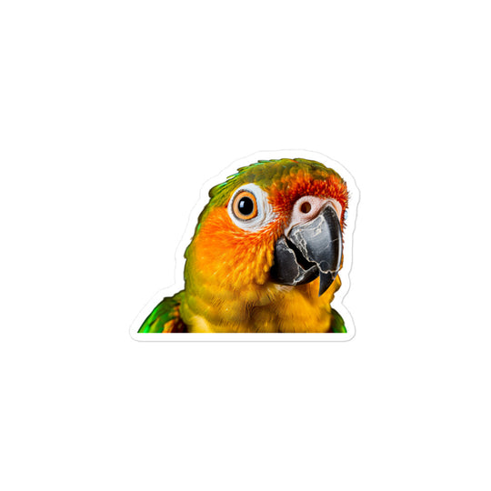 Conure Sticker - Stickerfy.ai