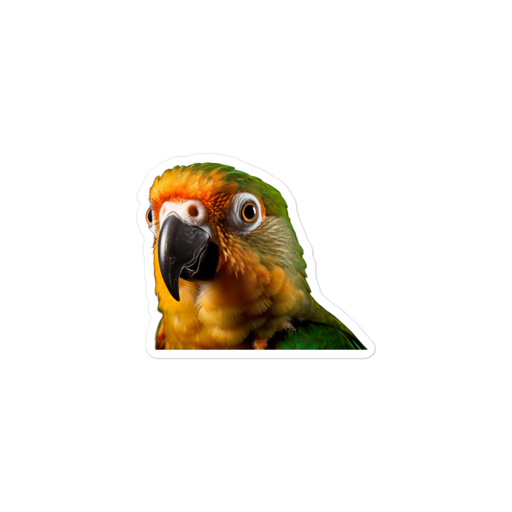 Conure Sticker - Stickerfy.ai