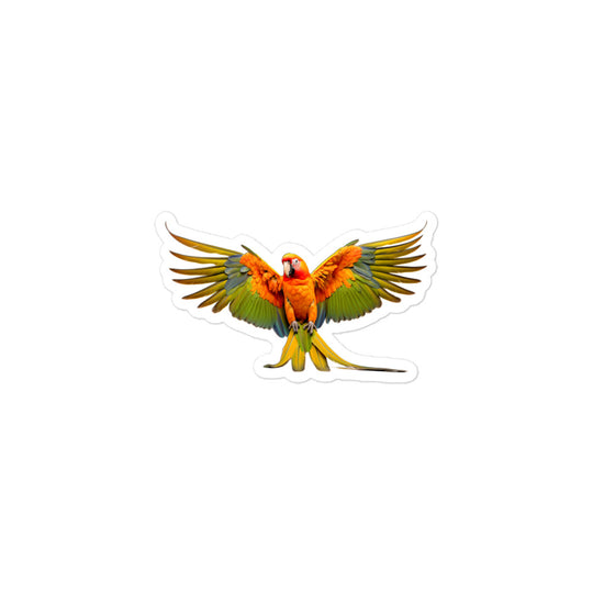 Conure Sticker - Stickerfy.ai