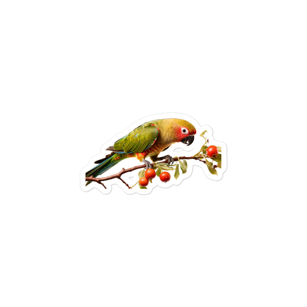 Conure Sticker - Stickerfy.ai