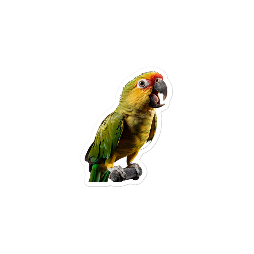 Conure Sticker - Stickerfy.ai