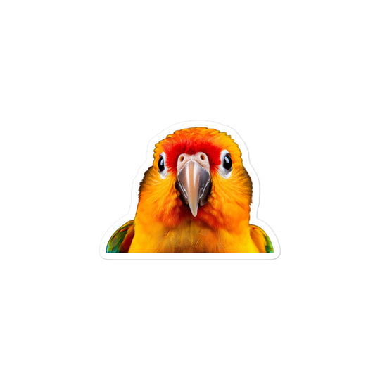 Sun Conure Sticker - Stickerfy.ai