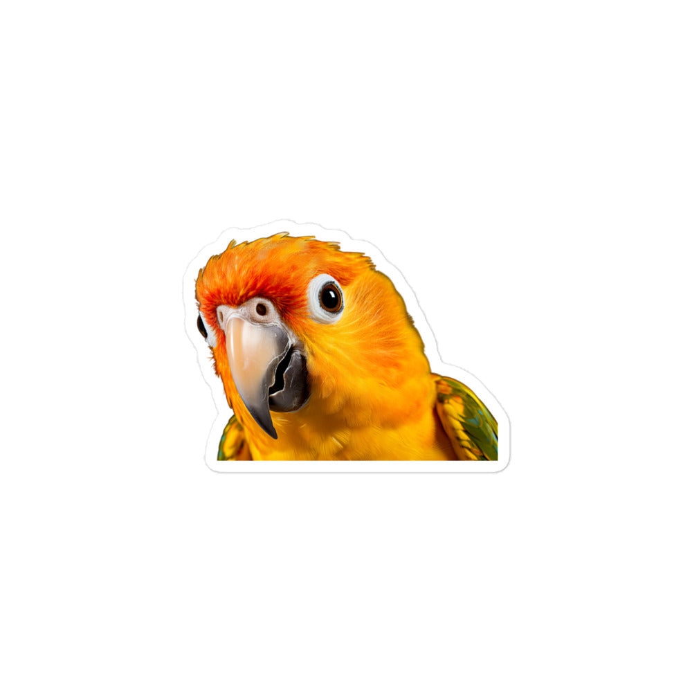 Sun Conure Sticker - Stickerfy.ai