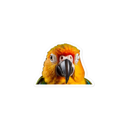 Sun Conure Sticker - Stickerfy.ai