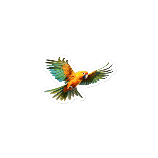 Sun Conure Sticker - Stickerfy.ai