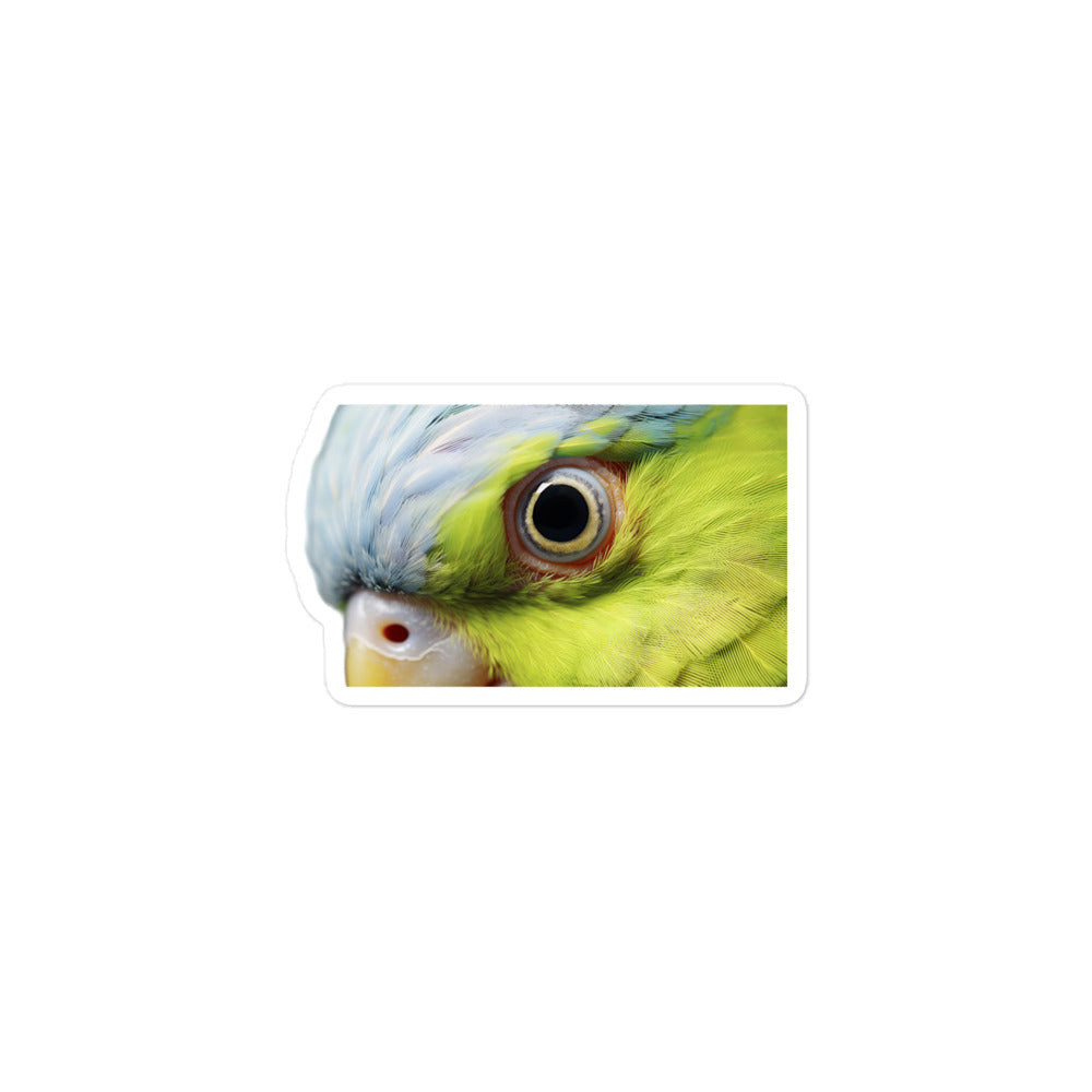 Indian Ringneck Parakeet Sticker - Stickerfy.ai